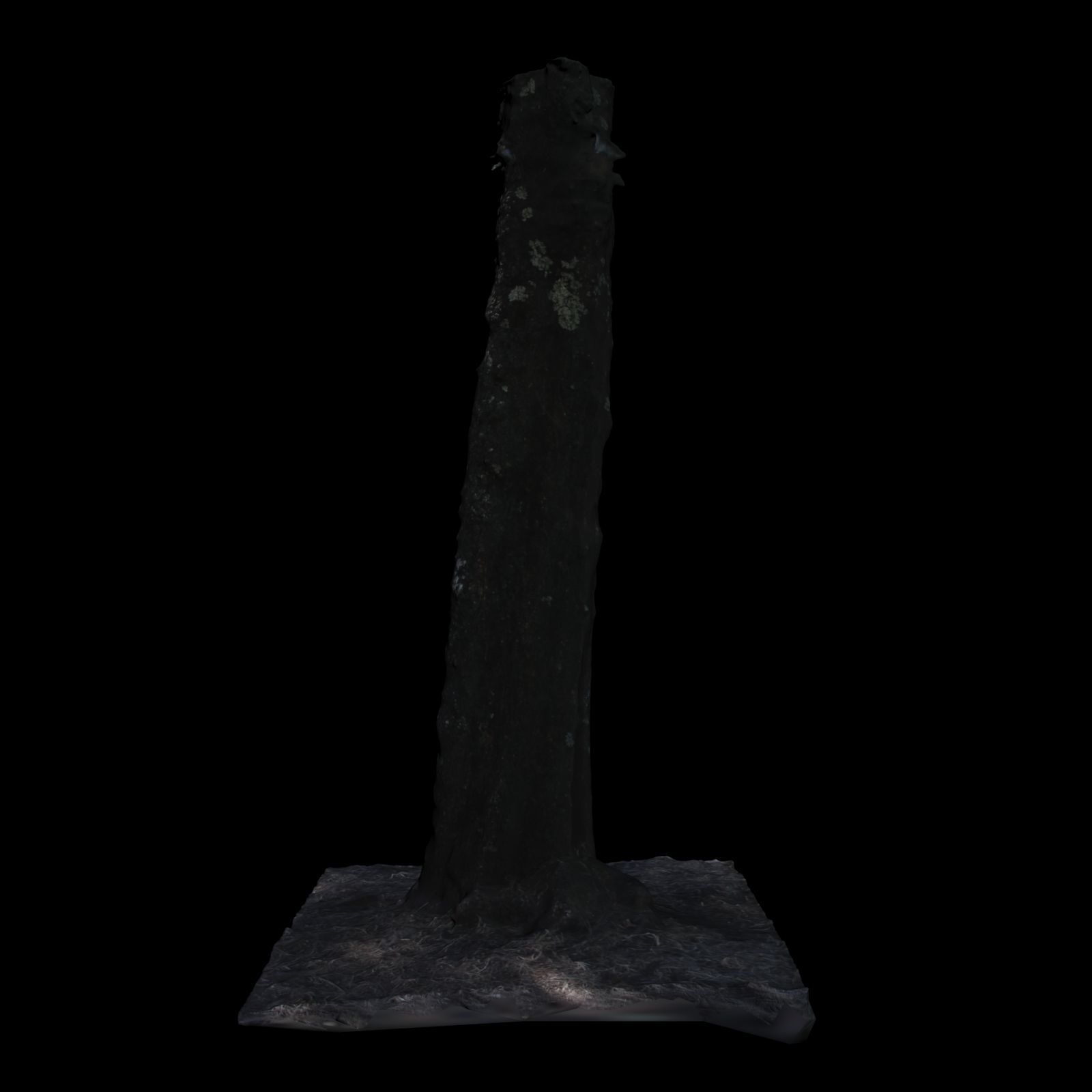 Tree 2 stump 3D model_3