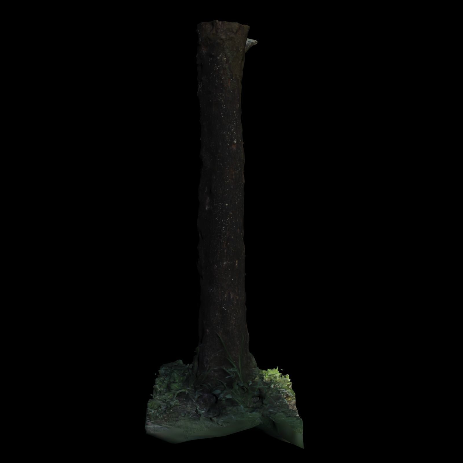Tree 3 in forest 3D model_2