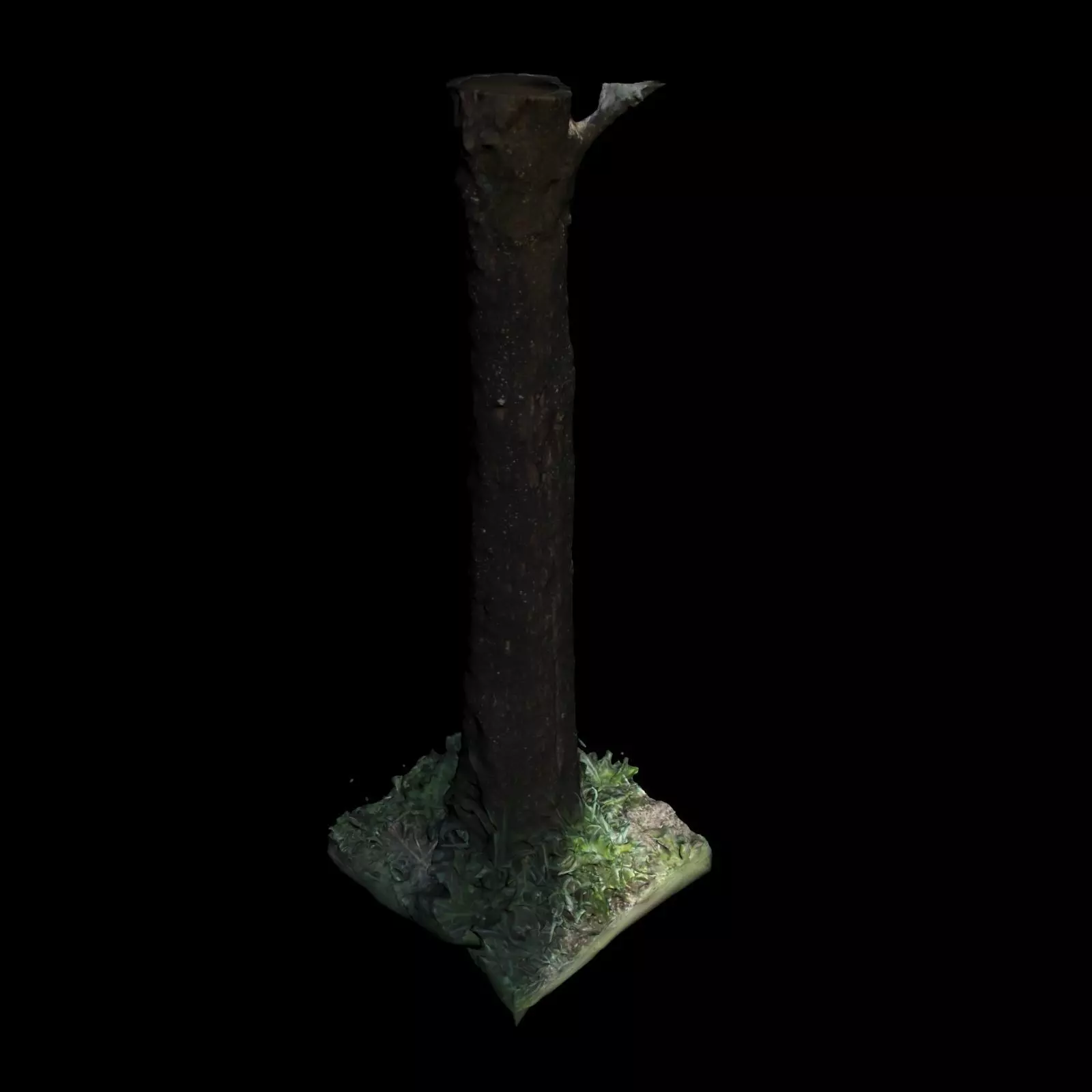 Tree 3 in forest 3D model_0