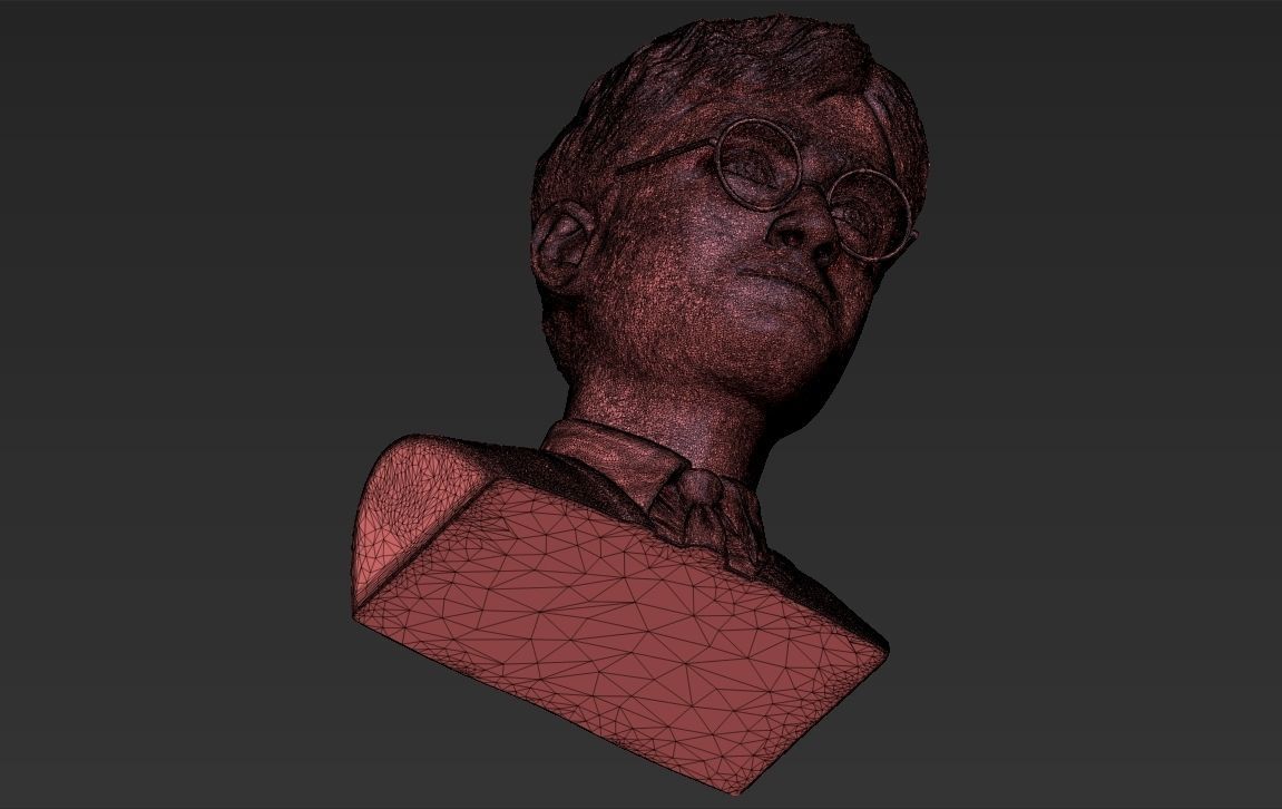 Harry Potter bust 3D printing ready stl obj formats 3D print model_37