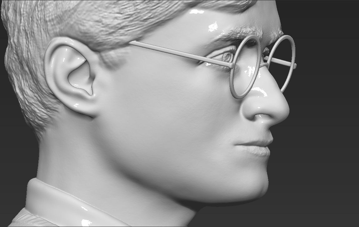Harry Potter bust 3D printing ready stl obj formats 3D print model_25