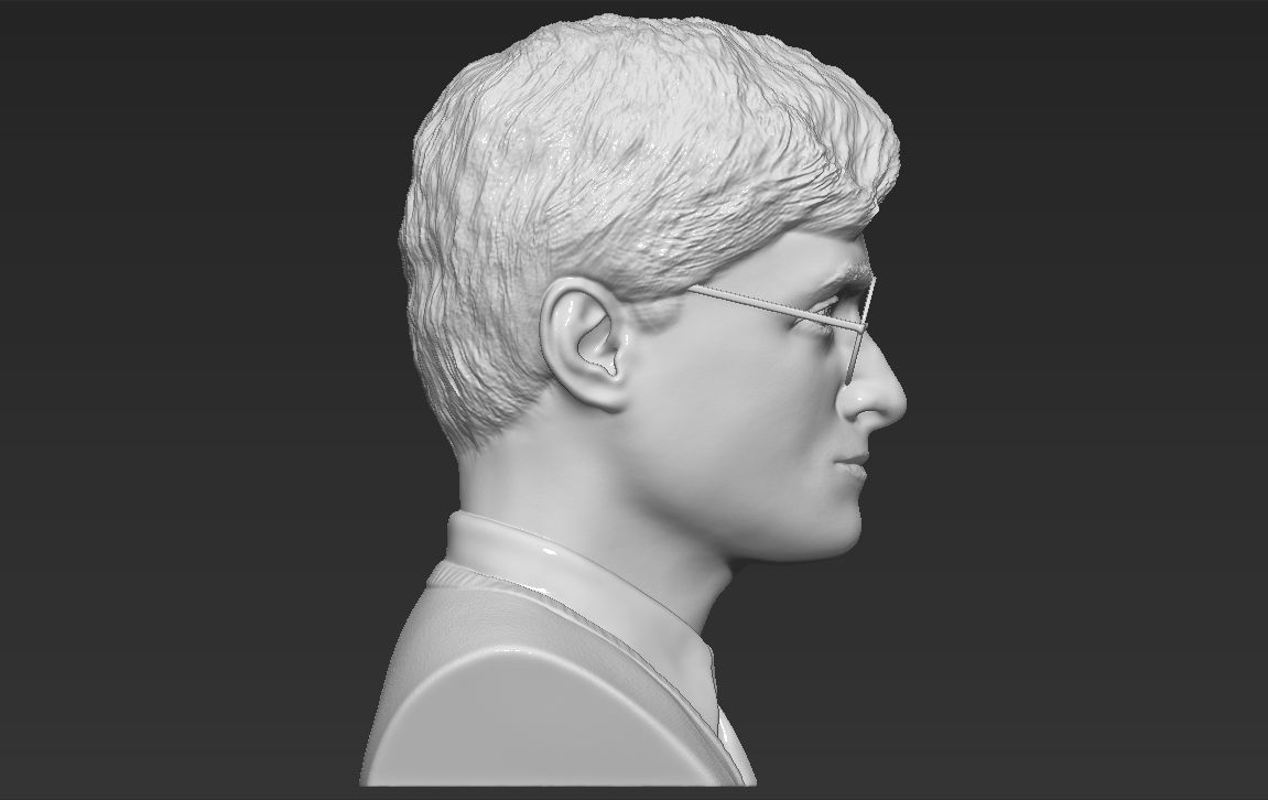 Harry Potter bust 3D printing ready stl obj formats 3D print model_15