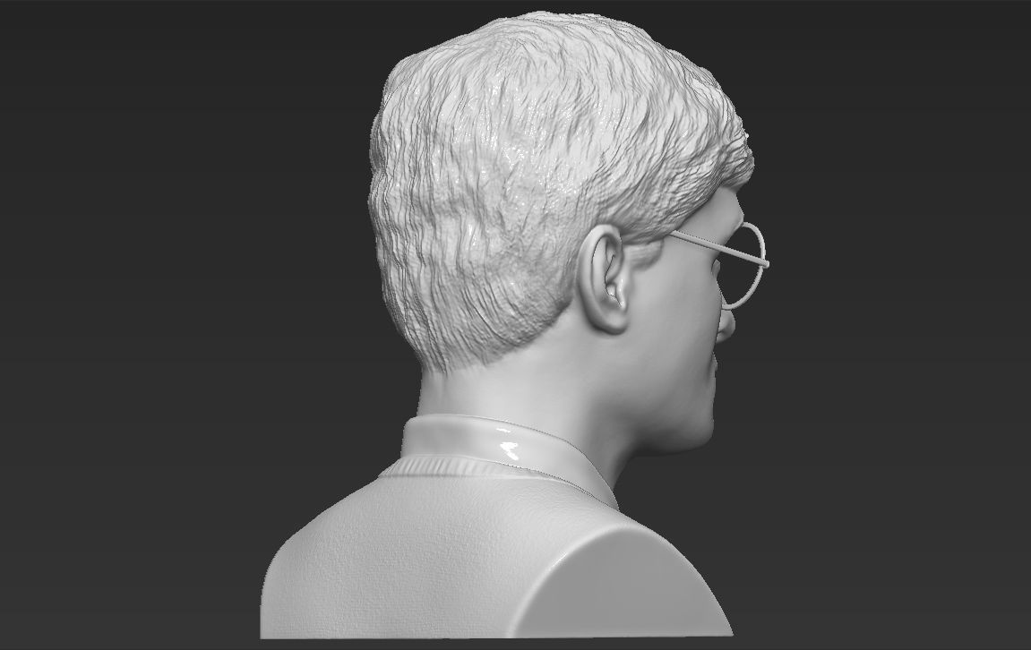 Harry Potter bust 3D printing ready stl obj formats 3D print model_14