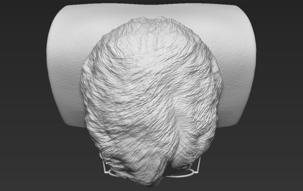 Harry Potter bust 3D printing ready stl obj formats 3D print model_22