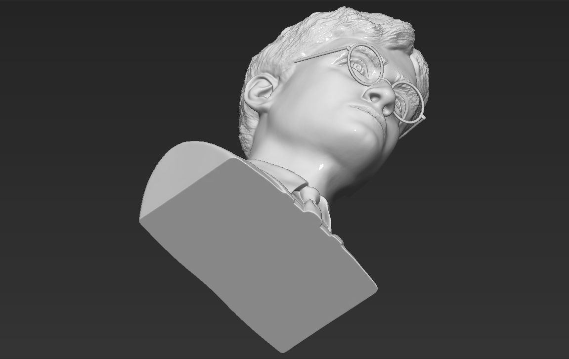 Harry Potter bust 3D printing ready stl obj formats 3D print model_32