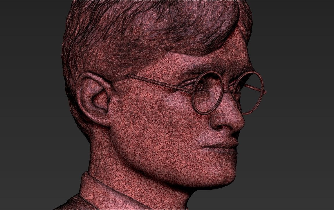 Harry Potter bust 3D printing ready stl obj formats 3D print model_35