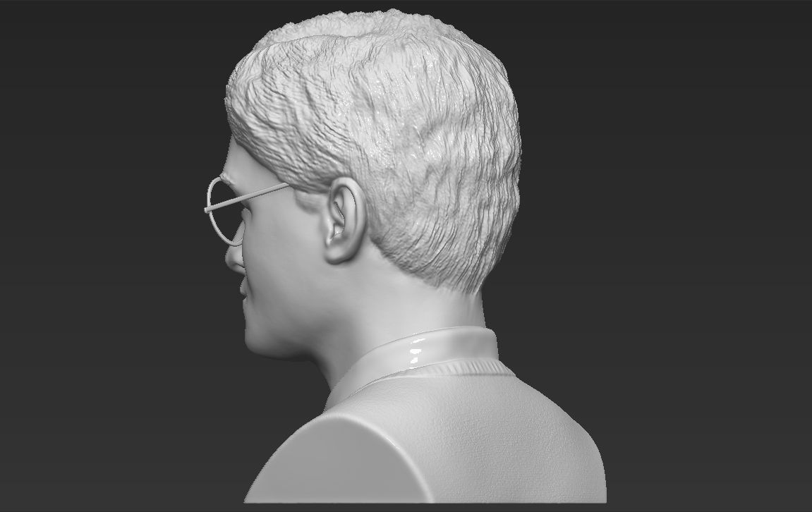 Harry Potter bust 3D printing ready stl obj formats 3D print model_12