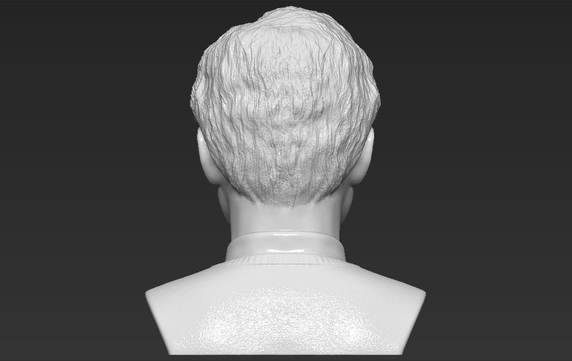 Harry Potter bust 3D printing ready stl obj formats 3D print model_13