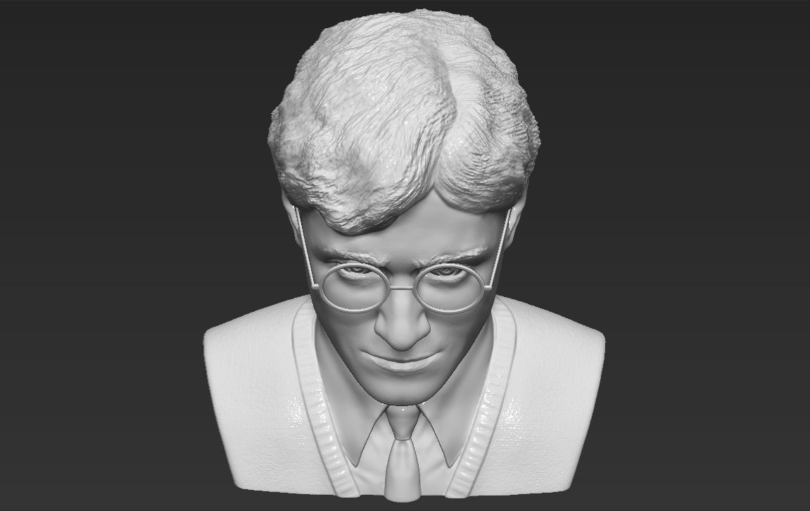 Harry Potter bust 3D printing ready stl obj formats 3D print model_21