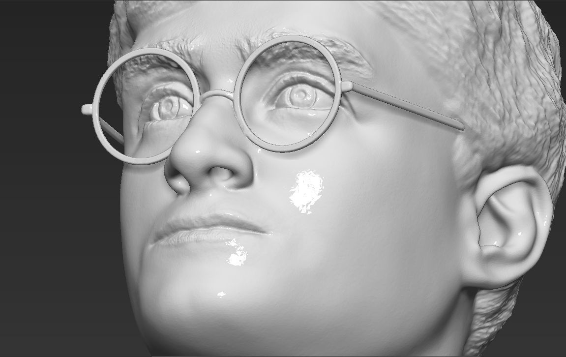 Harry Potter bust 3D printing ready stl obj formats 3D print model_28