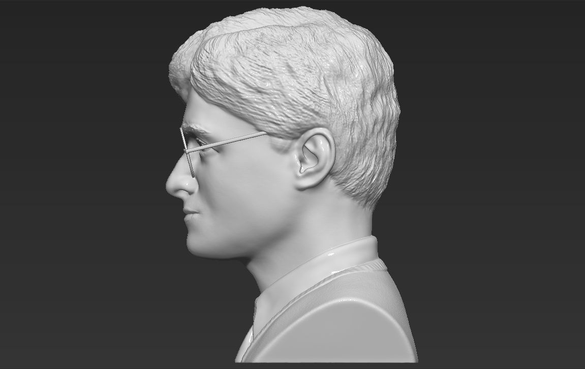 Harry Potter bust 3D printing ready stl obj formats 3D print model_11