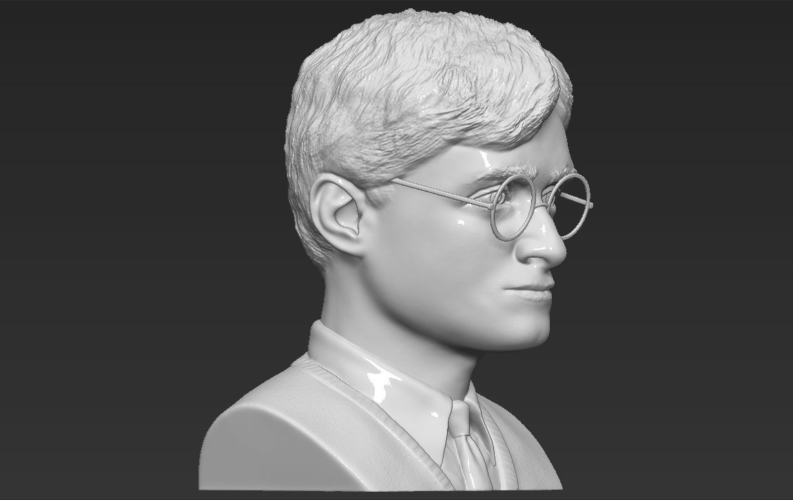 Harry Potter bust 3D printing ready stl obj formats 3D print model_16