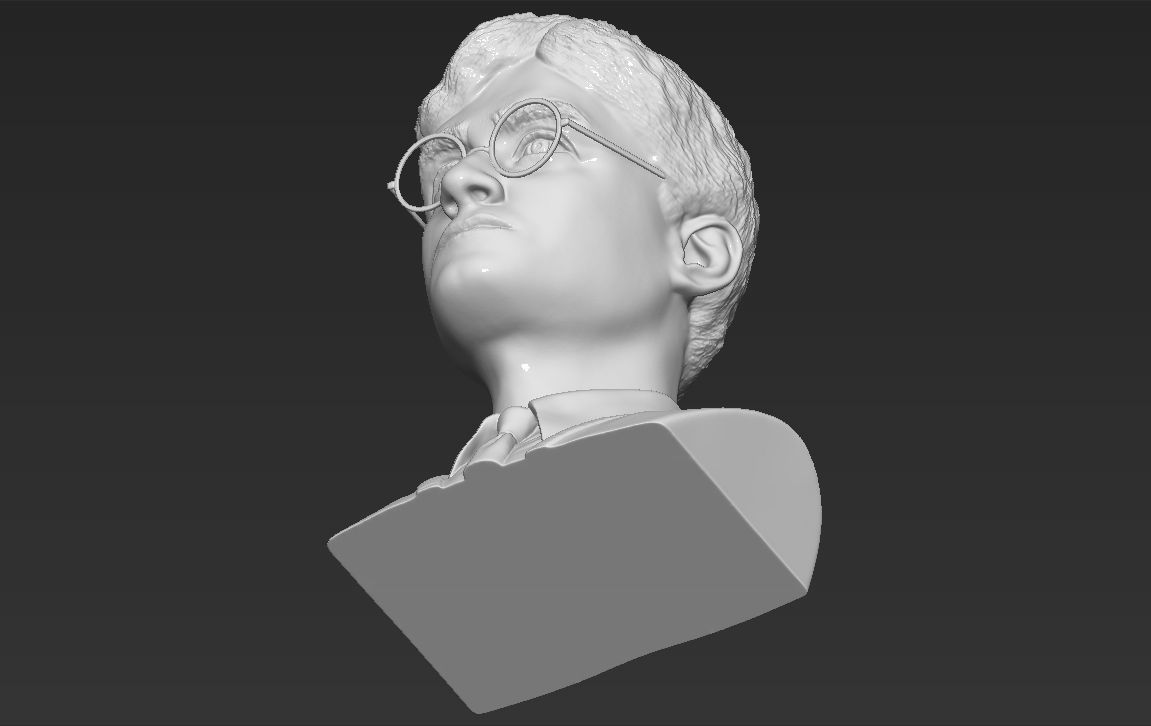 Harry Potter bust 3D printing ready stl obj formats 3D print model_33