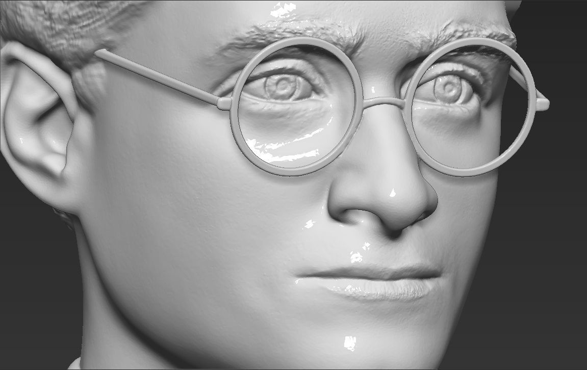 Harry Potter bust 3D printing ready stl obj formats 3D print model_24