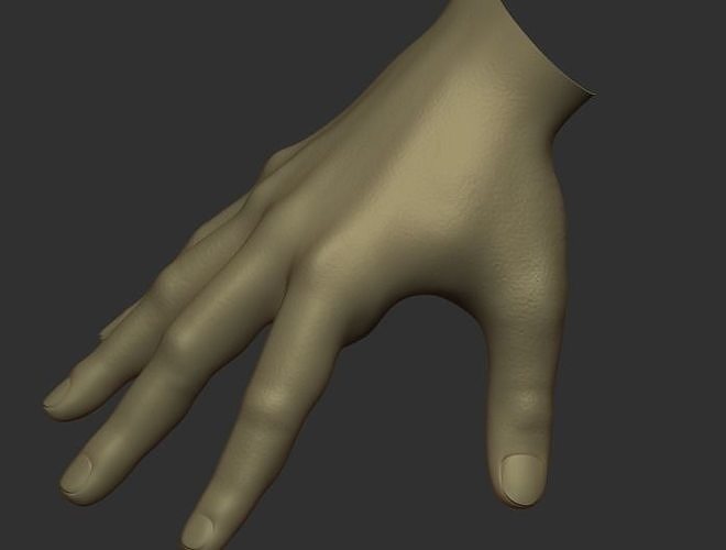 hand gestures 3D model