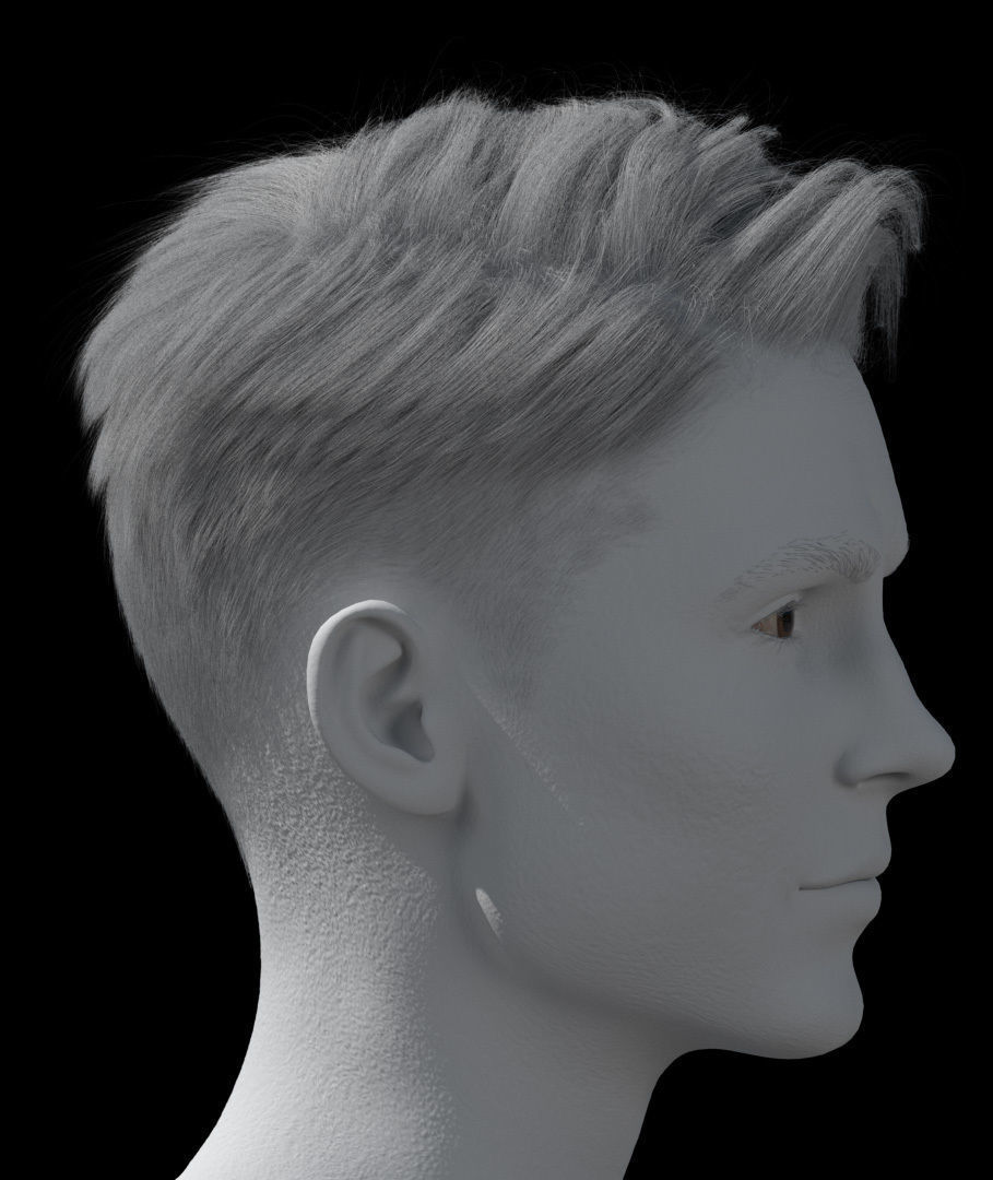 Hair style with changes request 3D model_19