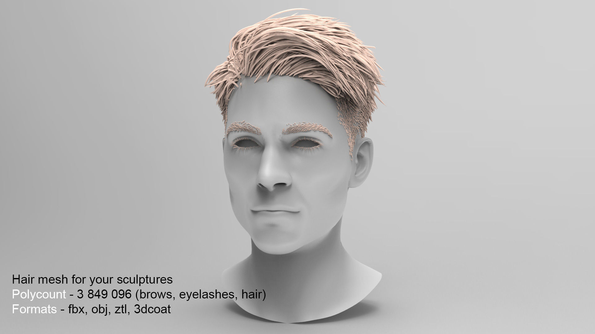 Hair style with changes request 3D model_8