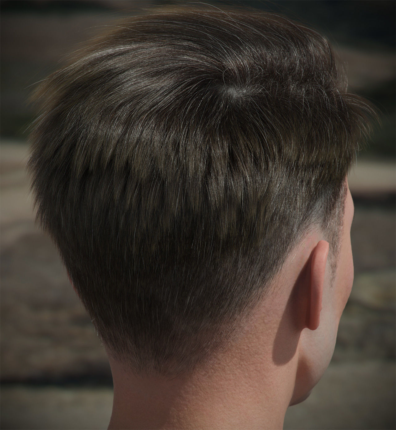 Hair style with changes request 3D model_13