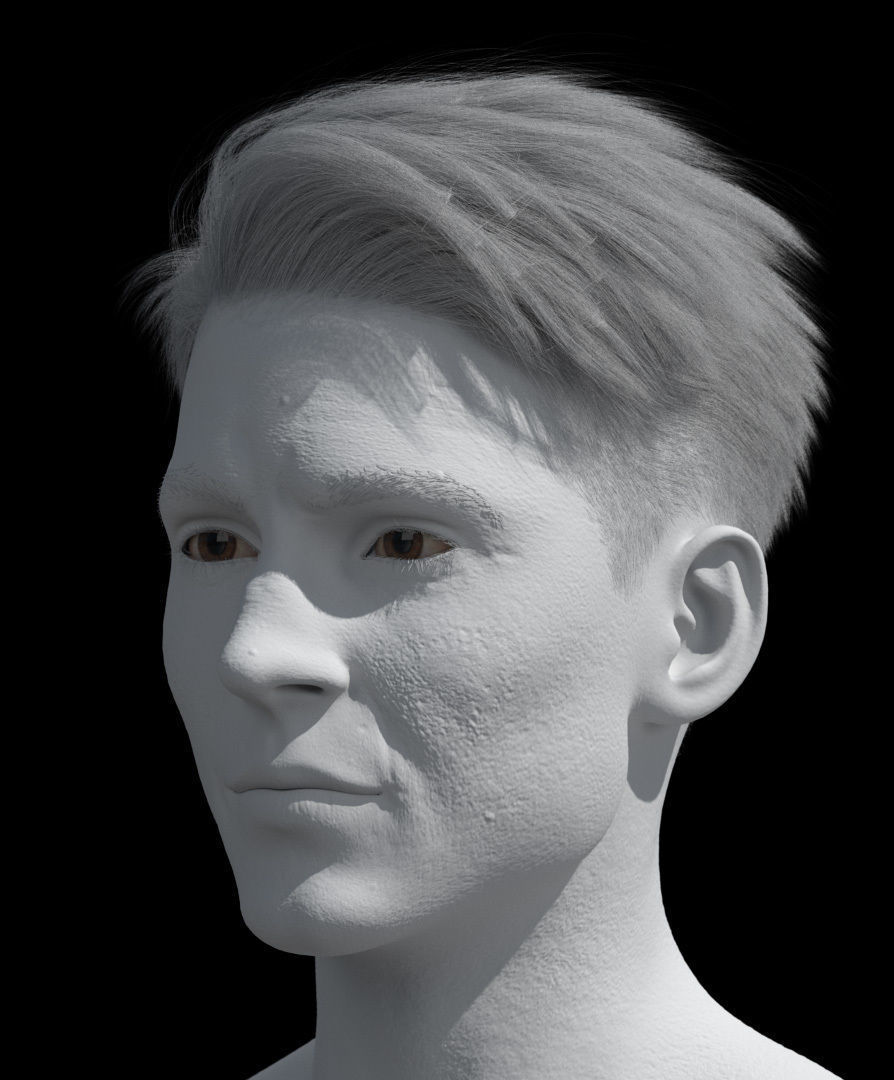 Hair style with changes request 3D model_15