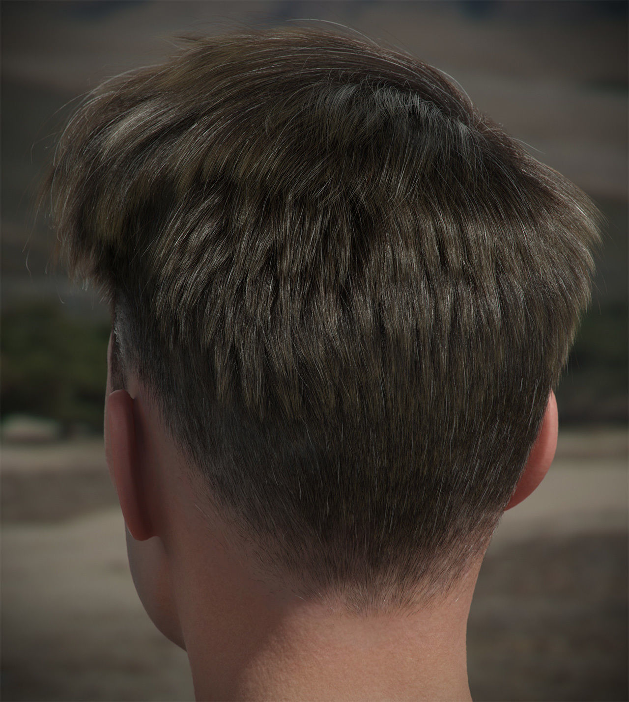 Hair style with changes request 3D model_12