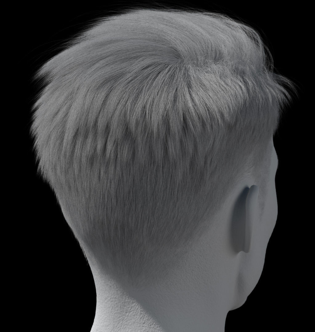 Hair style with changes request 3D model_18