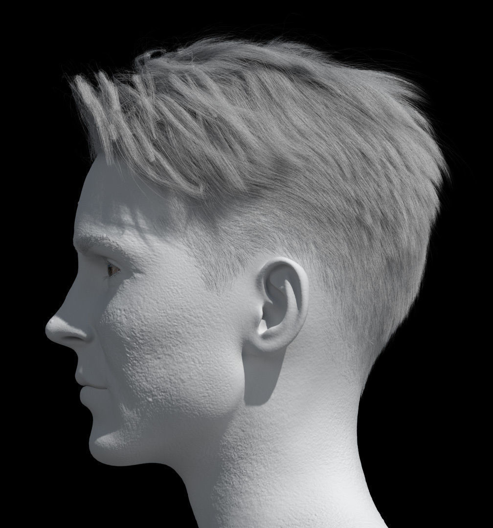 Hair style with changes request 3D model_16