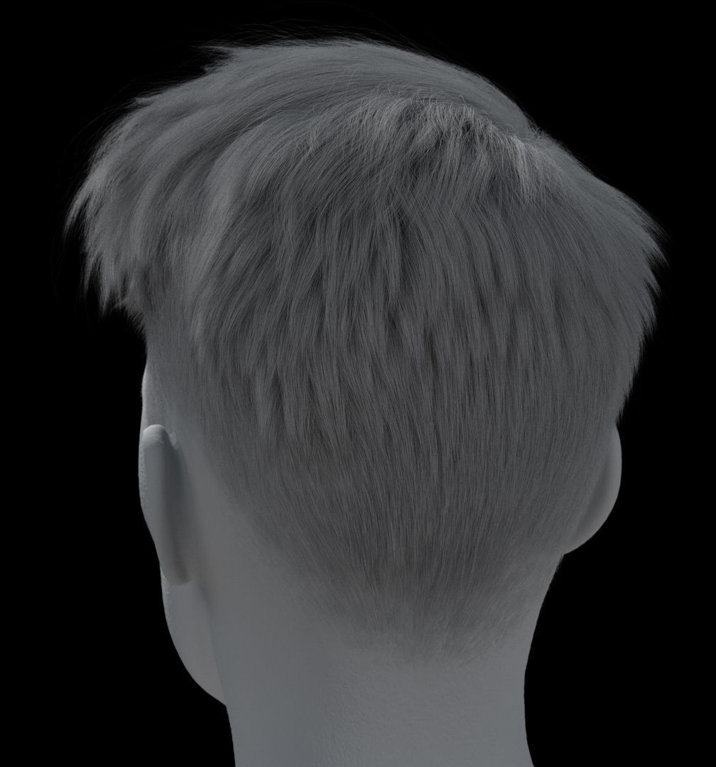 Hair style with changes request 3D model_17