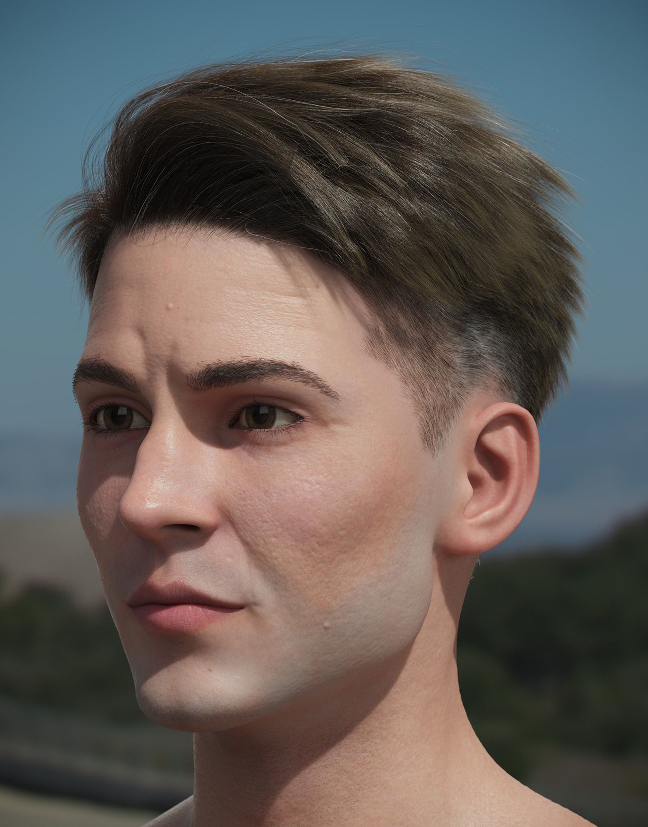 Hair style with changes request 3D model_10