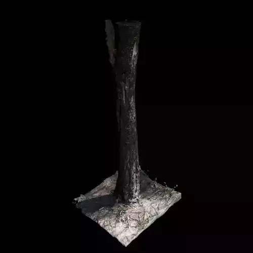 Tree 4 3D model