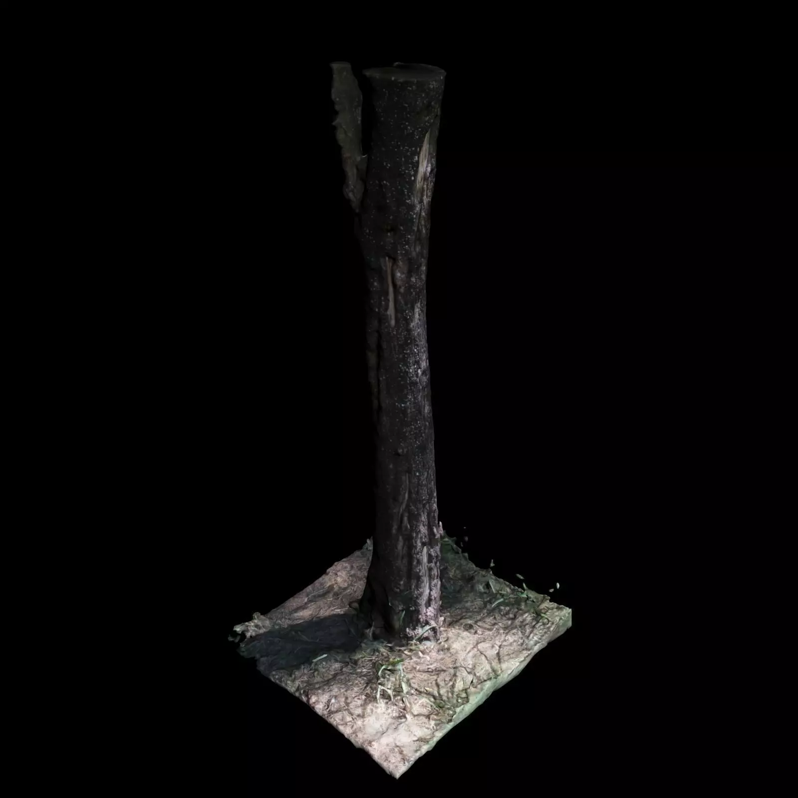 Tree 4 3D model_0