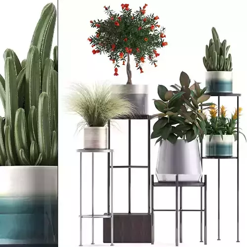 Collection of potted plants 3D model