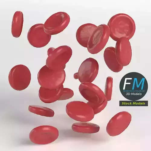 Red blood cells 3D model