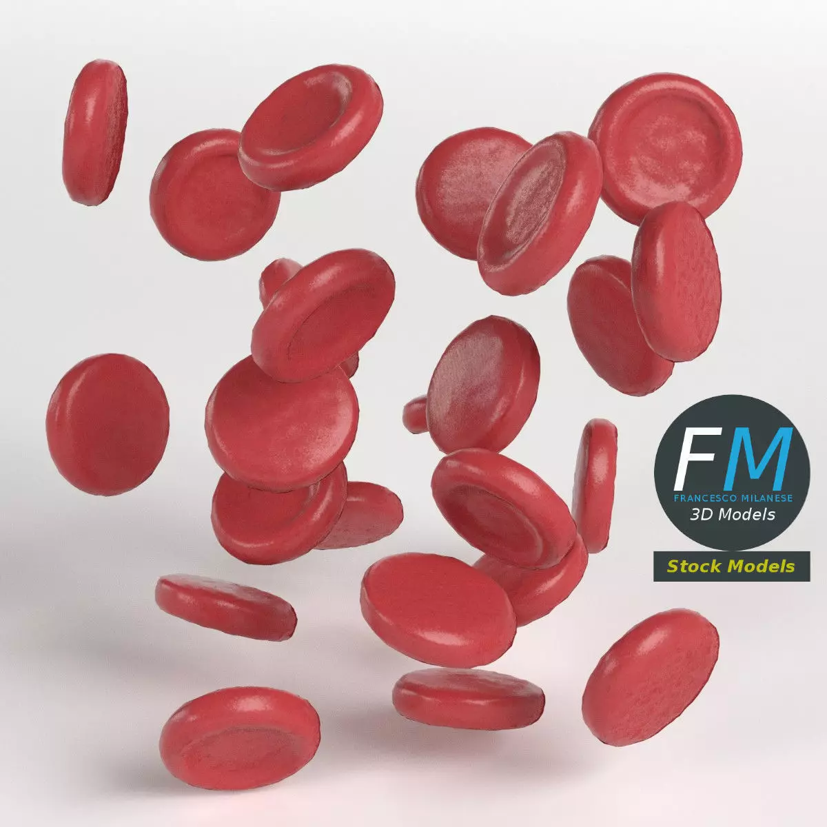 Red blood cells 3D model_0