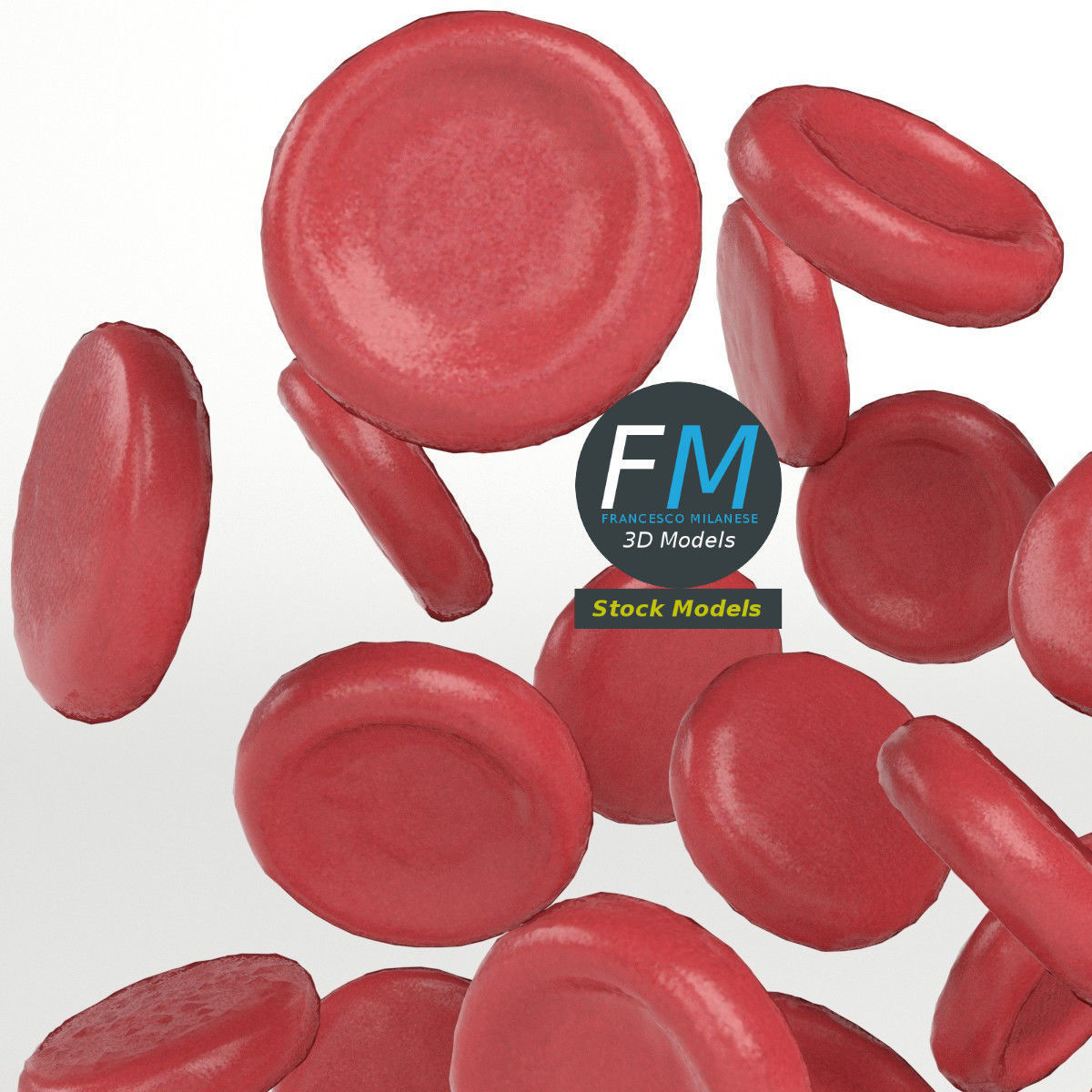 Red blood cells 3D model_4