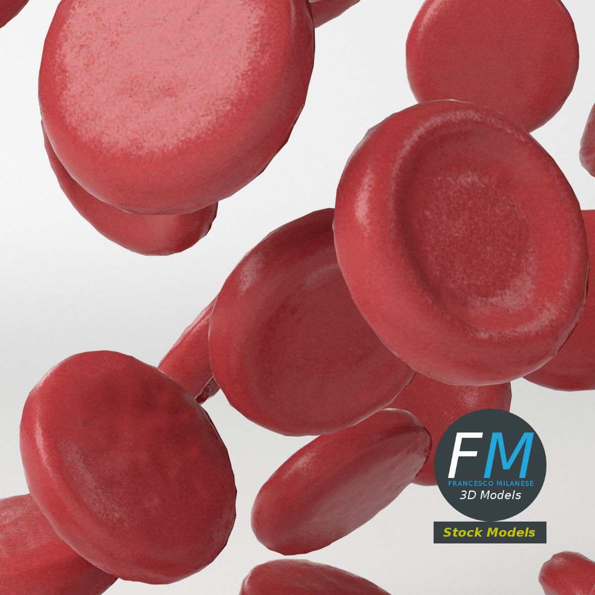 Red blood cells 3D model_5