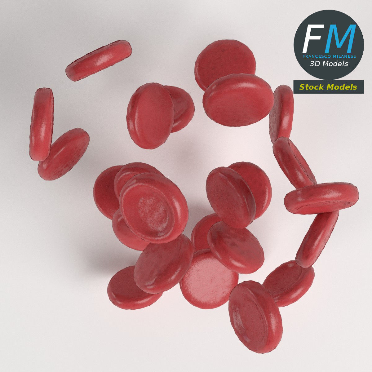 Red blood cells 3D model_6