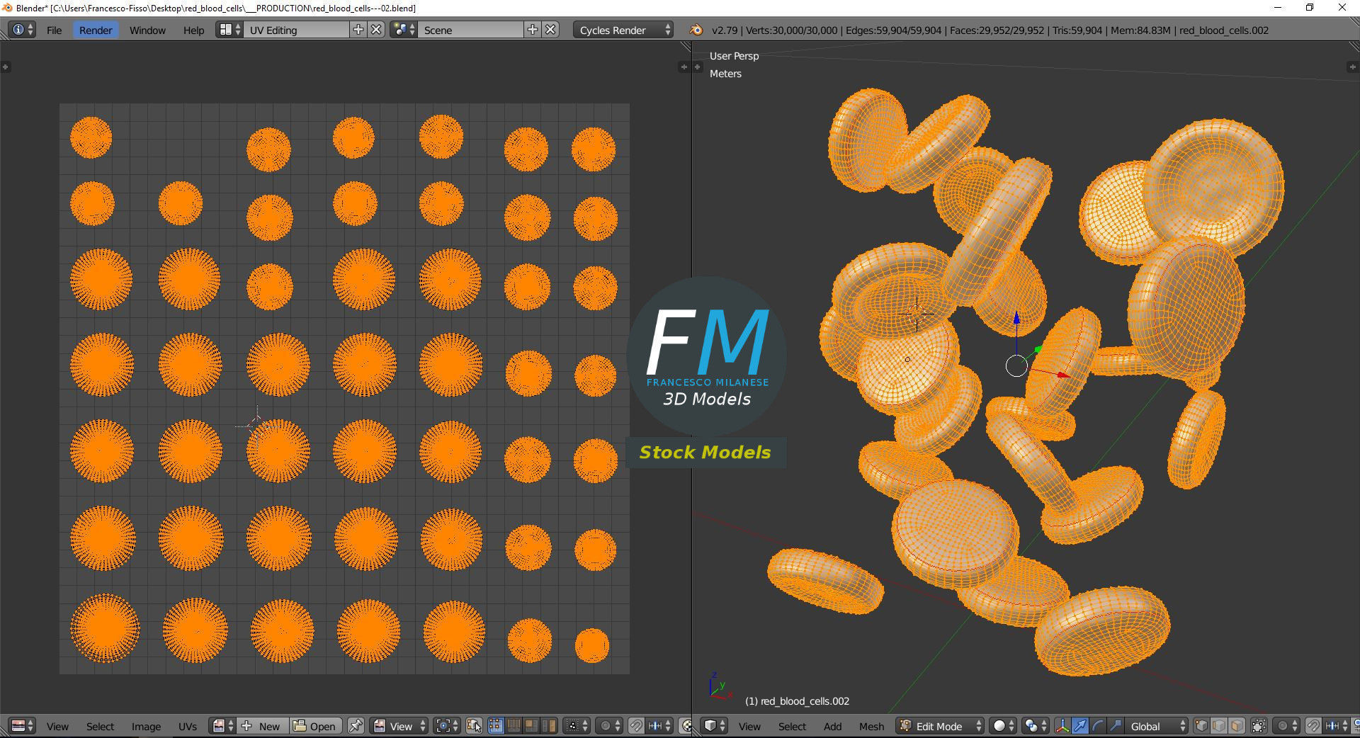 Red blood cells 3D model_10