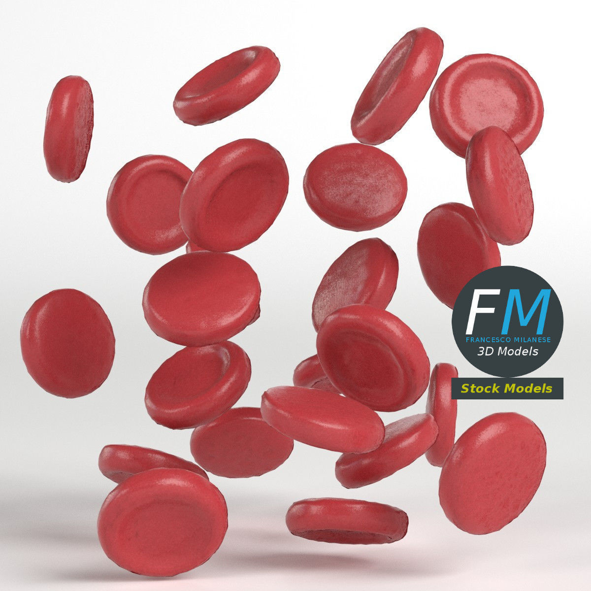 Red blood cells 3D model_3
