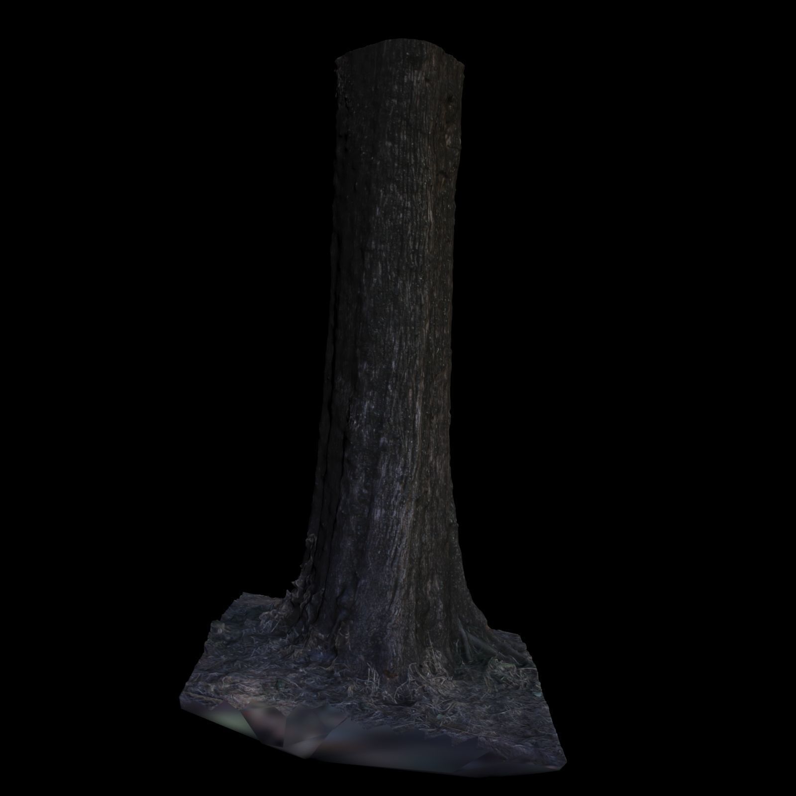 Tree 5 stump 3D model_2