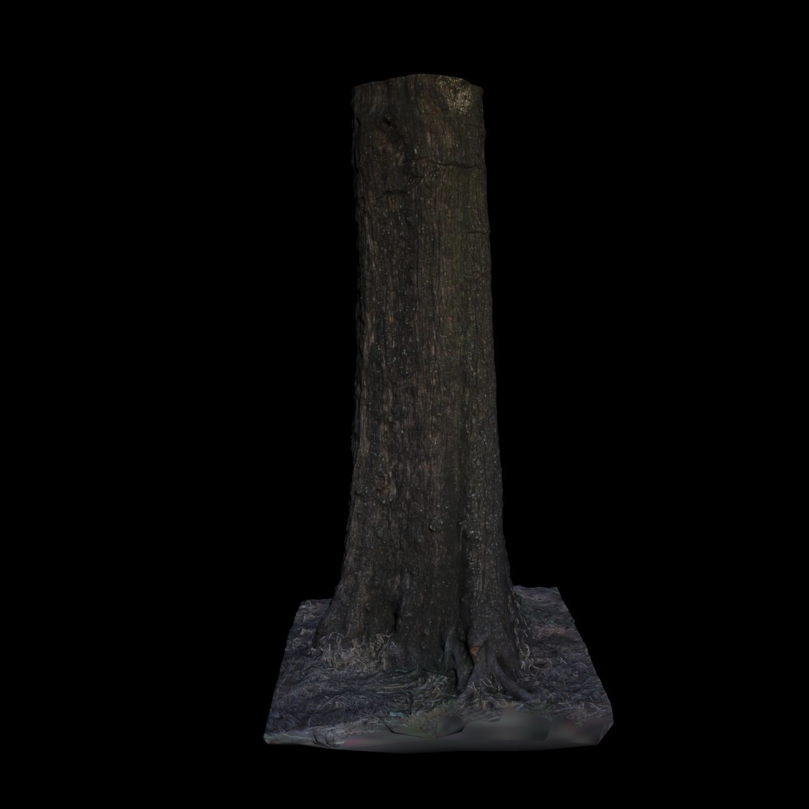 Tree 5 stump 3D model_3