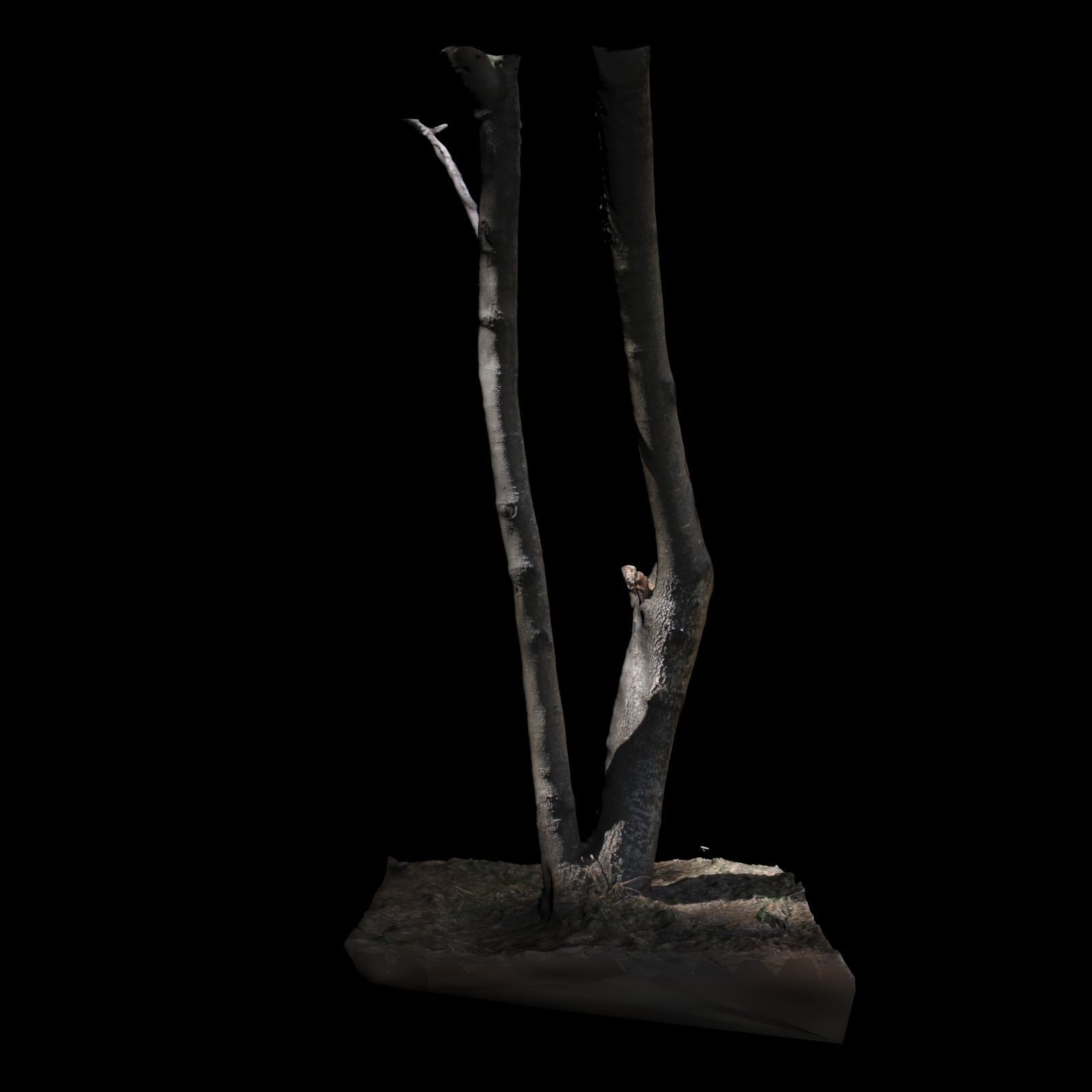 Tree 7 sculpture of 3D model_3