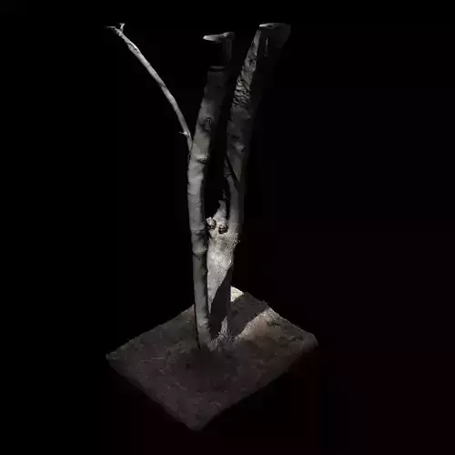 Tree 7 sculpture of 3D model