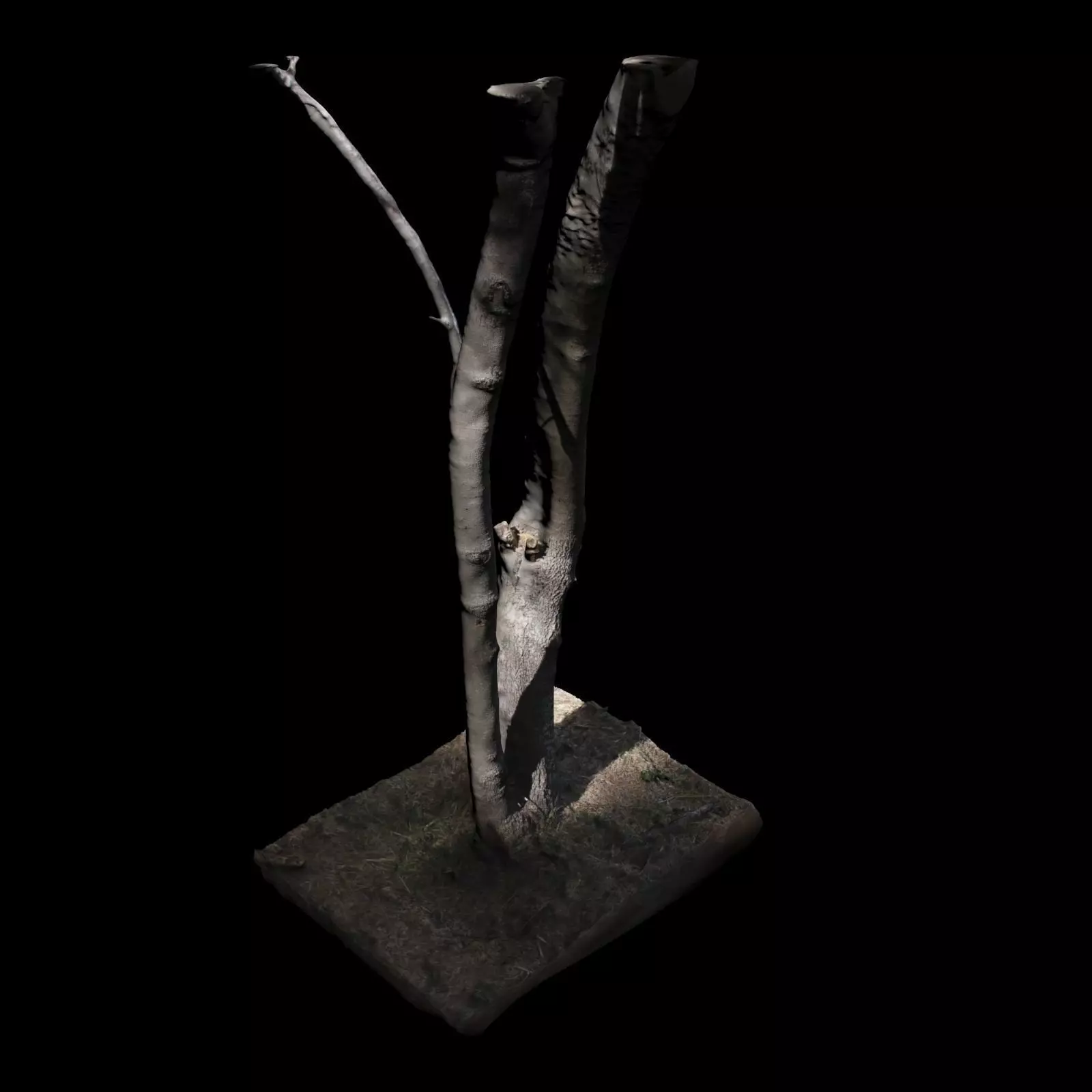 Tree 7 sculpture of 3D model_0