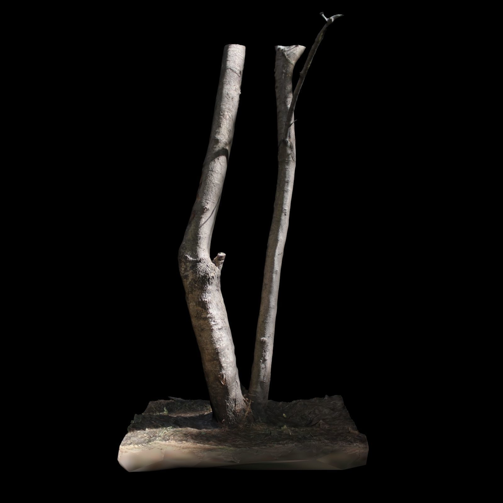 Tree 7 sculpture of 3D model_5
