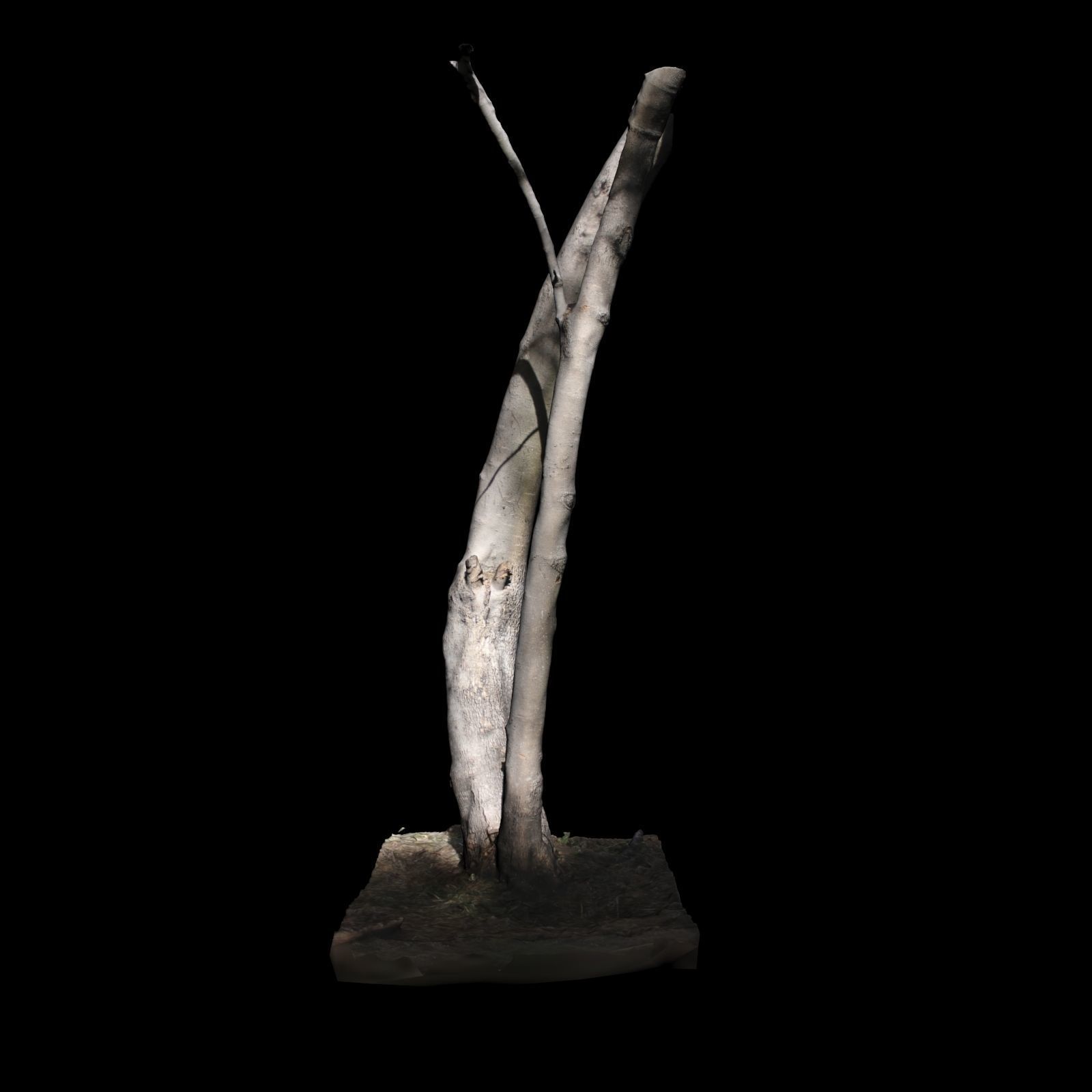 Tree 7 sculpture of 3D model_2