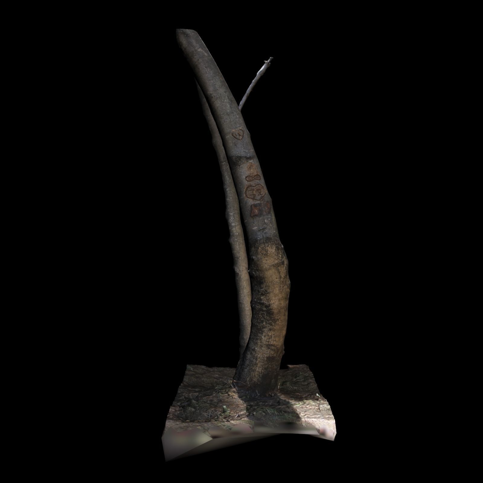 Tree 7 sculpture of 3D model_4