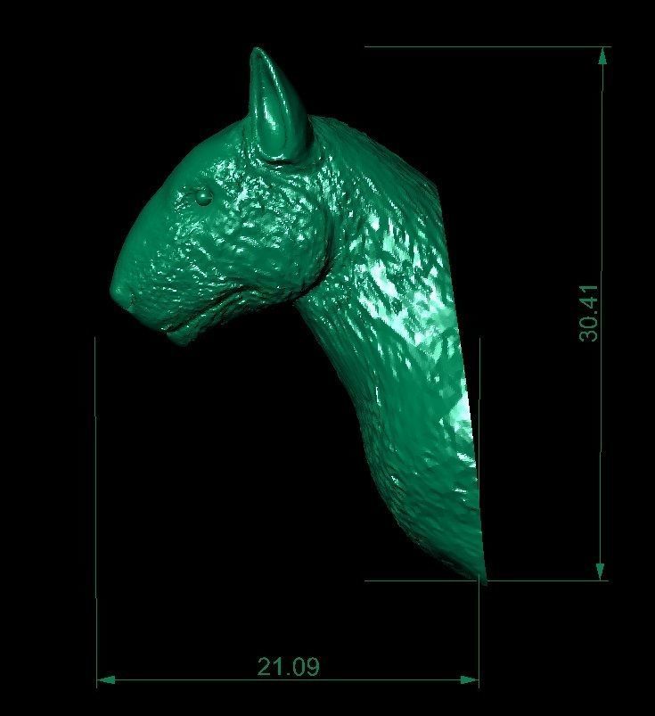  Bull terrier  head 3D print model_3