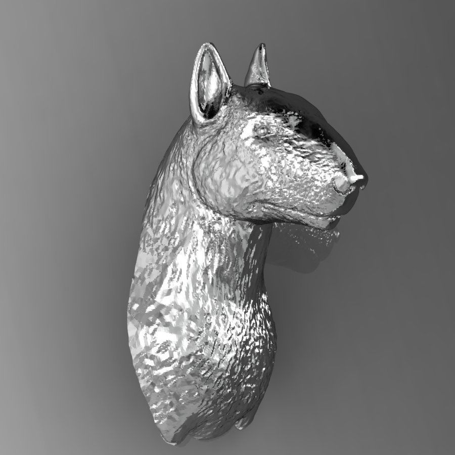  Bull terrier  head 3D print model_6