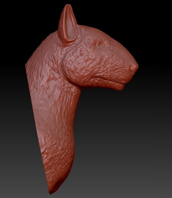  Bull terrier  head 3D print model_1