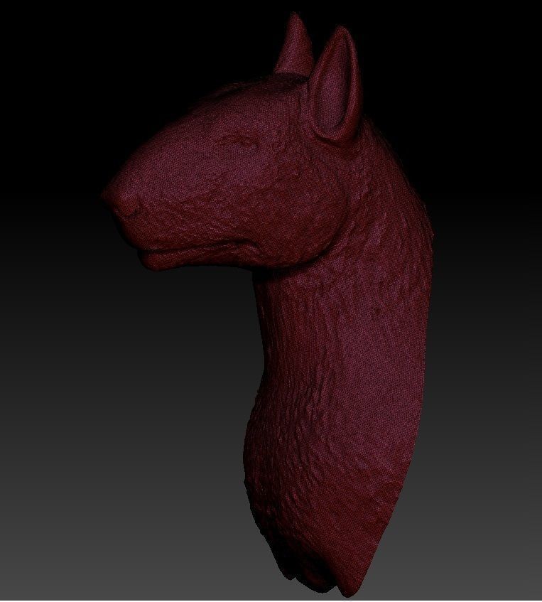  Bull terrier  head 3D print model_4